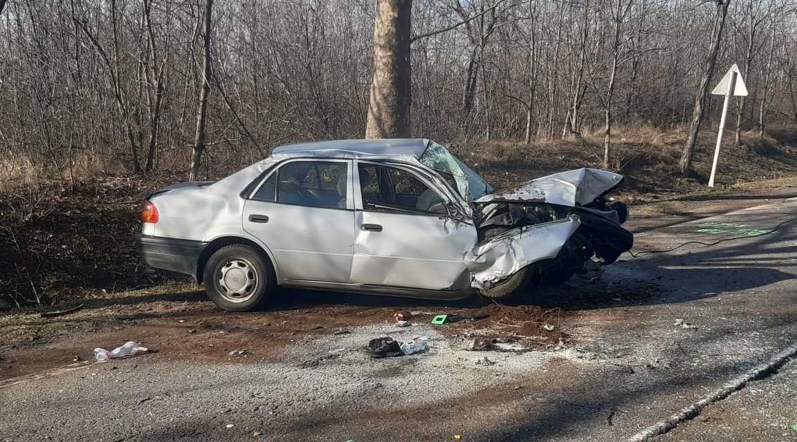 Lesodródott az úttestről majd fának csapódott egy autó az 5-ös főúton – Fotók a helyszínről