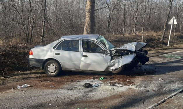 Lesodródott az úttestről majd fának csapódott egy autó az 5-ös főúton – Fotók a helyszínről