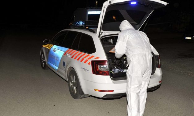 Savval öntötték le a csecsemőcsontokat Szentendrén: emberölés miatt indult nyomozás, a rendőrség most mégis lezárta az ügyet