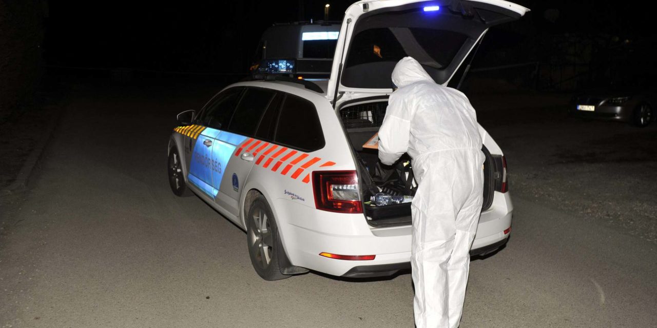 Savval öntötték le a csecsemőcsontokat Szentendrén: emberölés miatt indult nyomozás, a rendőrség most mégis lezárta az ügyet