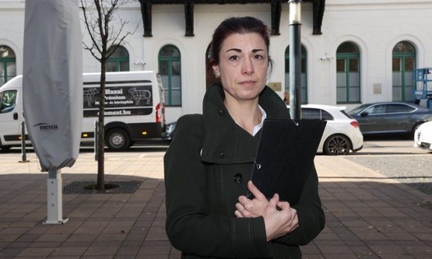 Napokon belül elszakíthatják az anyjától és Svédországba küldhetik a magyar kislányt, Szaffit – Viktória kiborult, nem éri a Kúria döntését