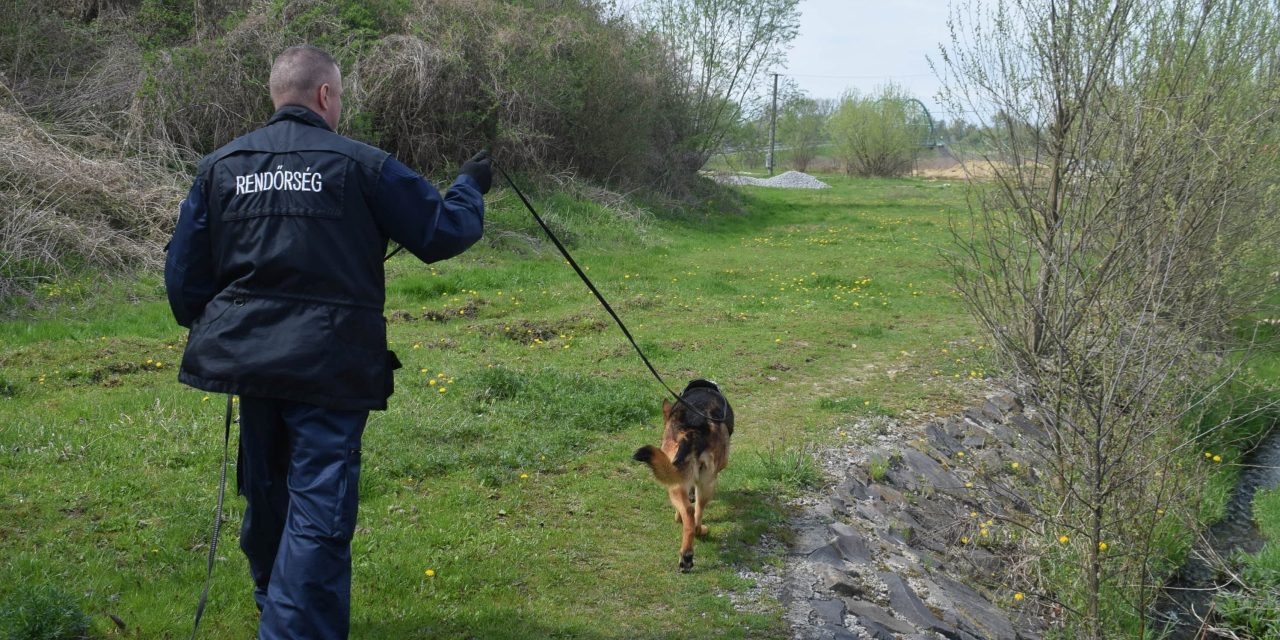 Csalhatatlan szimat: Shelbi, a rendőrkutya vezette nyomra kollégáit – Fotók