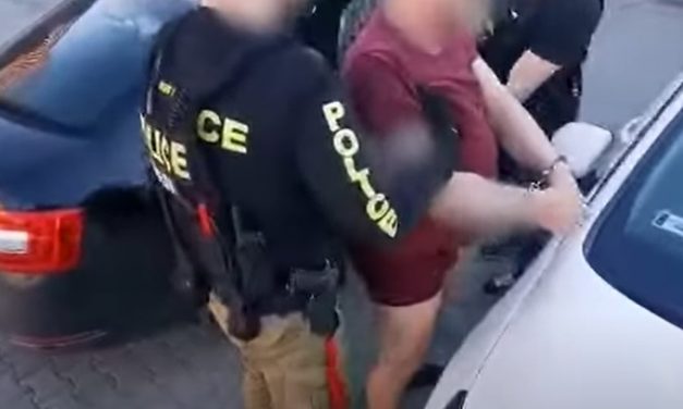 Viperával támadt a szórakozóknak egy férfi egy százhalombattai sörözőben