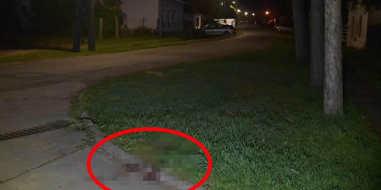 Golyót repített a fejébe egy férfi Vas megyében, válságos állapotban szállították kórházba