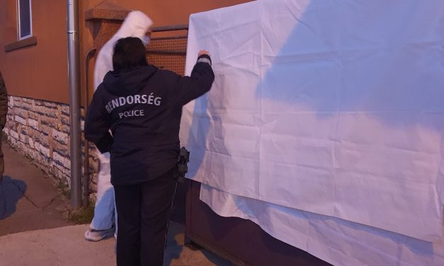 „Aztán az udvaron szörnyű látvány tárult elénk, a várandós nő sírva, kiabálta, segítsenek!” – megszólalt a zirci családi dráma egyik szemtanúja