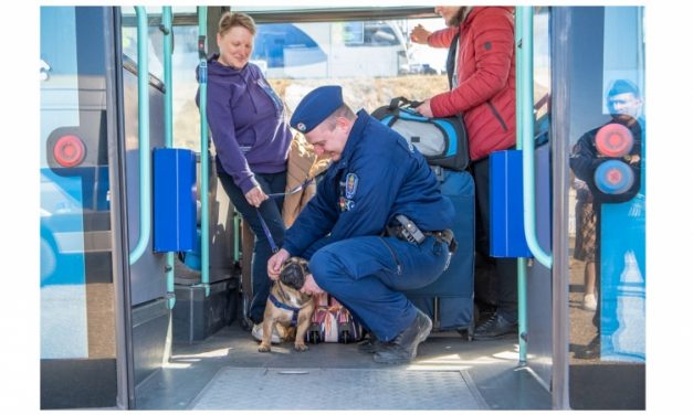 Közel 1000 menekült érkezett az elmúlt napon az országba, rengeteg köztük a gyermek – Így segítenek nekik a BOK csarnokban