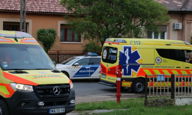 Tragédia: megölte gyermekét majd saját magával is végzett egy 41 éves férfi Somogyban – Fotók