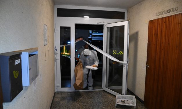 Borzalmas részletek a tragédiáról: elkábította őket, majd baltával sújtott le kamasz lányaira az aszódi apa