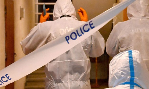 Nem ismerte el a bűncselekményt, mindent tagad az aszódi kettős gyerekgyilkos