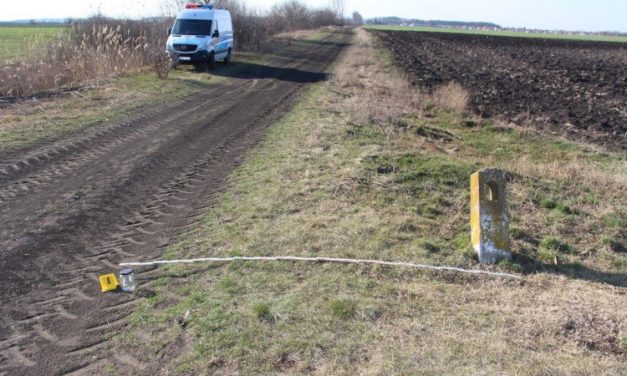 Kioltotta élettársa életét Bécsben egy magyar nő, majd egy bőröndben hozta haza a holttestet, amelyet édesanyja segítségével rejtett el