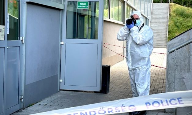 „Ez a férfi másokat is zaklathatott” – féltékenységből végzett kolléganőjével a 25 éves férfi a veszprémi gyár öltözőjében