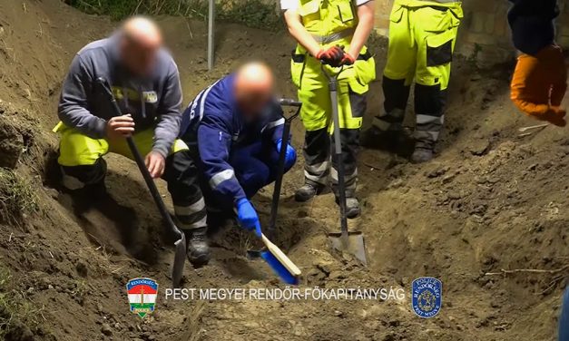 Holttest a szigetszentmártoni kertben: a bíróságon döbbenetes részletek derültek ki a gyilkosságról, a tettest a fia jelentette fel