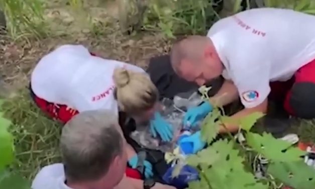 Meghalt a Baranya megyei szőlőhegyen talált csecsemő