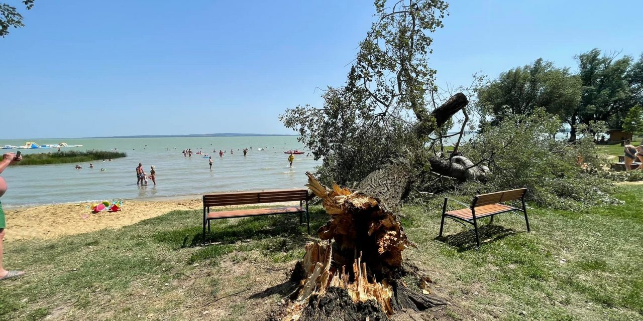 “Remület, sikolyok szaladó segítő emberek” – strandolók közé dőlt egy fa Keszthelyen, az egyik szemtanú szerint kisebb pánik tört ki a parton
