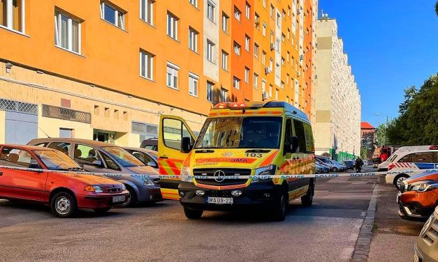 “Mindenki azt hitte, hogy elpatkolt”- megszólalt az egyik szomszéd, aki ott volt, amikor az ismert énekesnőt bedrogozva elvitte a mentő