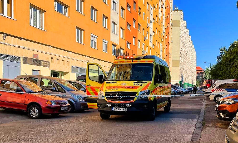 “Mindenki azt hitte, hogy elpatkolt”- megszólalt az egyik szomszéd, aki ott volt, amikor az ismert énekesnőt bedrogozva elvitte a mentő