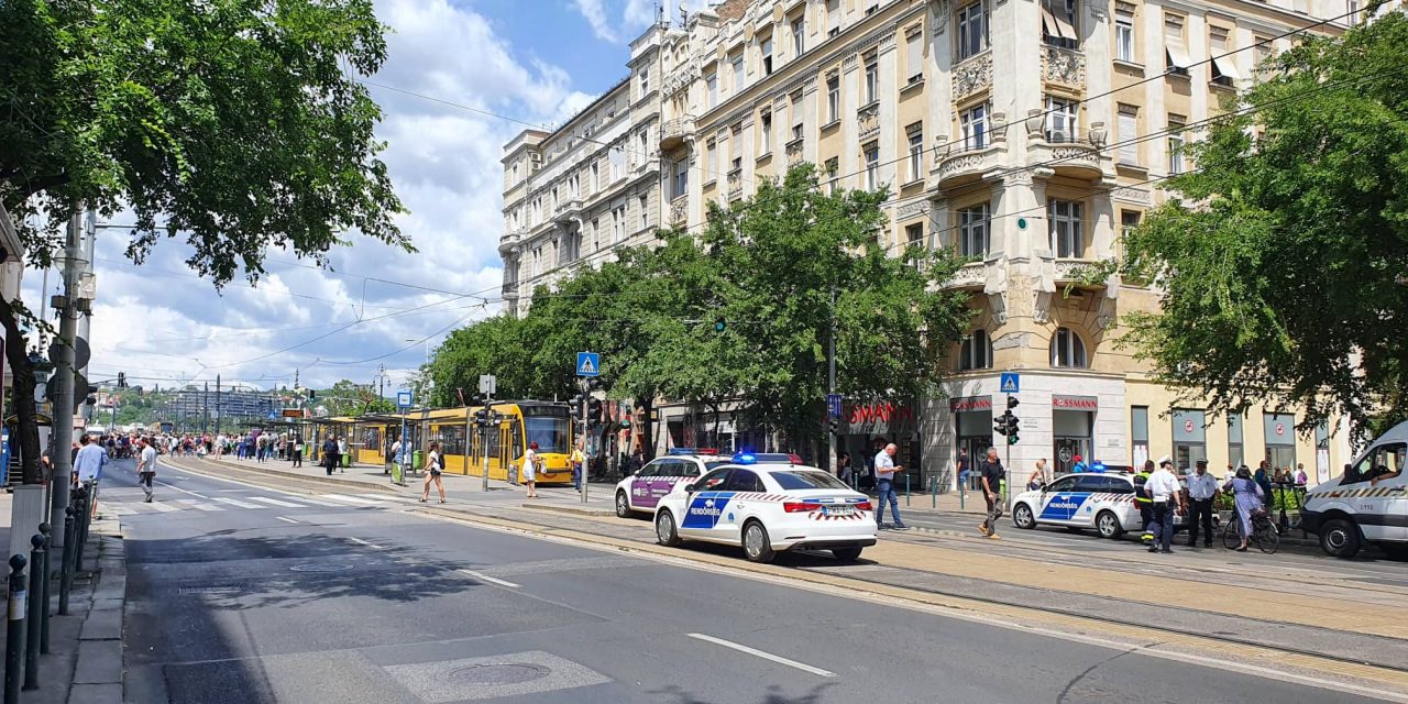 Rendőrök avatkoztak be a Margit hídnál, egész nap tüntettek a kata-törvény módosítása ellen a fővárosban