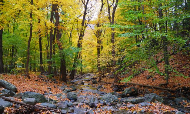 Szakadékba zuhant egy ember Solymáron