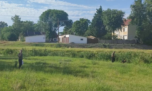 Saját udvarában találták meg annak a 91 éves asszonynak a holttestét, akit napok óta kutyákkal kerestek a környéken