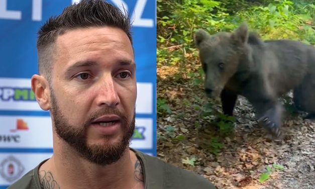 Rátámadt egy barnamedve Hosszú Katinka volt férjére, közben medveriasztást adtak ki Budapest közelében