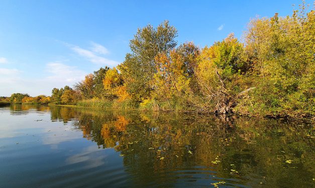 „Perceken múlott az egész” – A Tiszában elmerült kislány megmentője szerint ha hamarabb ér oda, akkor a másikat is megmenthette volna