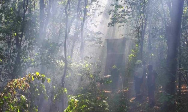 Tűz van Budapesten, a János-hegyen, nagy erőkkel oltják a lángokat