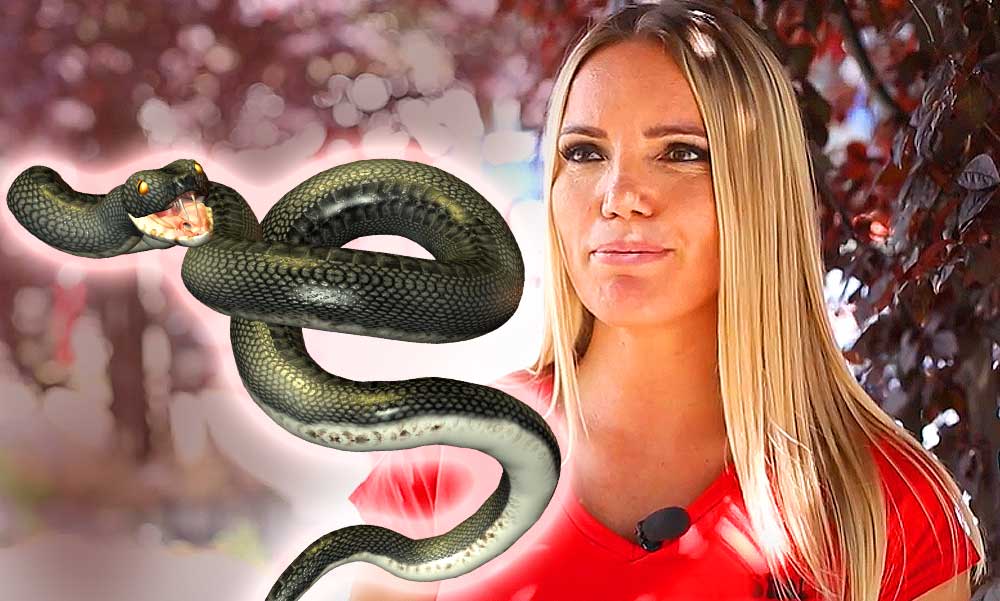Ilyen állapotban van most a teaszeánsz után életveszélyesen megsérült VV Anett – Orvosai szerint akár egy év is lehet a teljes felépülés