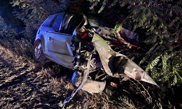 Hatalmas baleset az M2-esen: elaludt a volán mögött a Ford sofőrje, belerohant egy kamionba – Sokkoló fotók a helyszínről