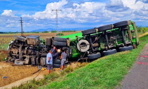 „40 tonnás nyergesvontató repül a levegőben” – mondta a közutas fűnyíróautó sofőrje, a beléjük rohanó teherautó vezetője éppen videocsetelt