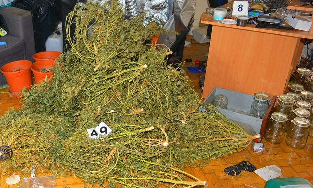 Hátast dobtak a szomszédok, amikor rádöbbentek, hogy nagypályás drogdílerek a szemközti lakásban élő srácok