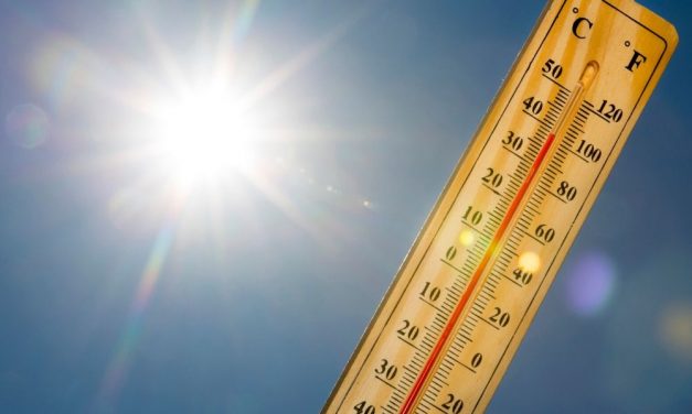 Tomboló hőség: vizet oszt a MÁV és a Volán is az állomásokon, erre hívja fel a figyelmet a Katasztrófavédelem