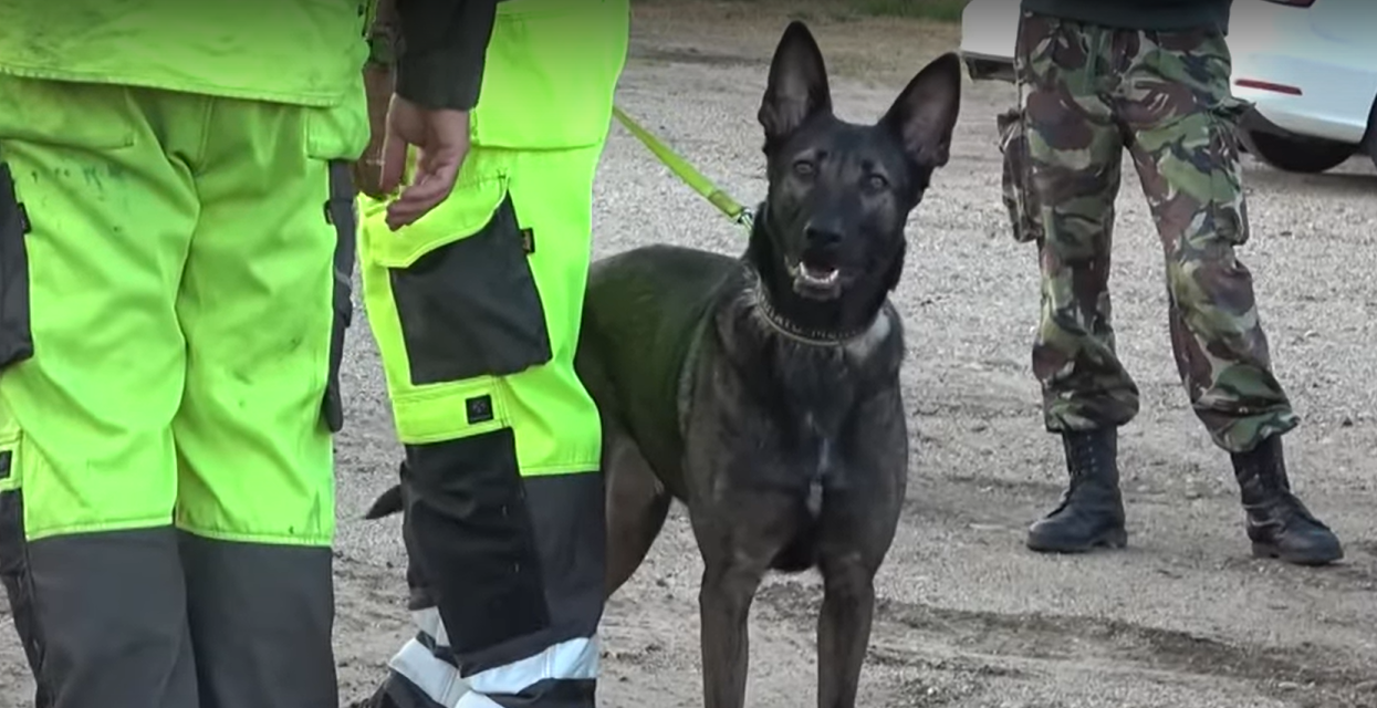A tragédiát sem tudják kizárni a rendőrök, tovább keresik a 27 napja eltűnt Máriát