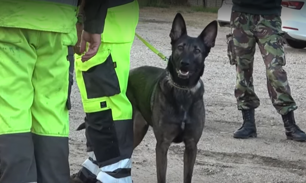 A tragédiát sem tudják kizárni a rendőrök, tovább keresik a 27 napja eltűnt Máriát