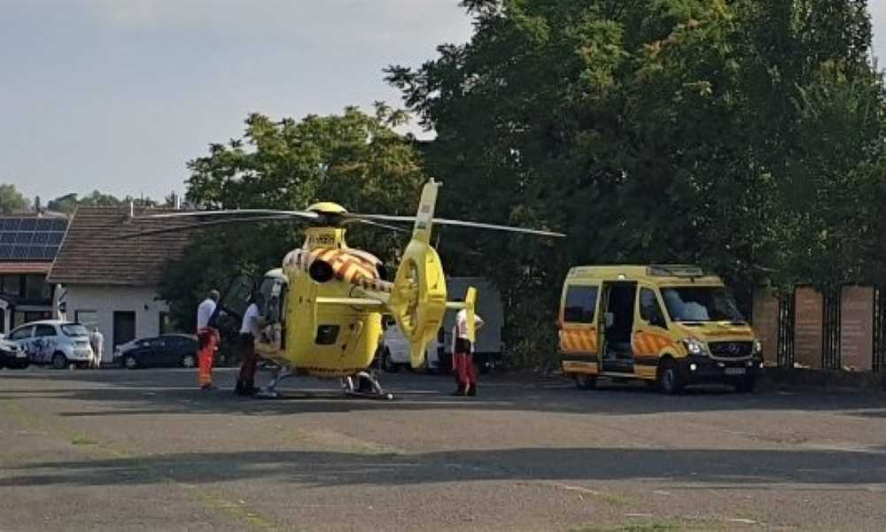 „Itt voltam Rocco utolsó perceiben” – megszólalt a zöldséges, aki végignézte munkatársa halálát, miután a férfi lenyelt egy darazsat a szentendrei piacon