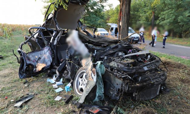 Anya és apa is meghaltak a borzalmas Fejér megyei balesetben: négy éves kisfiuk életéért jelenleg is küzdenek az orvosok – videó