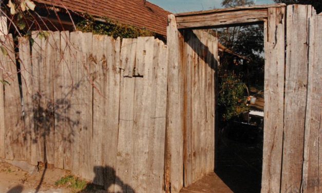 Cigicsikken hagyott DNS buktathatja le a tetteseket: közel 30 év után oldódhat meg a soltvadkerti emberölés ügye