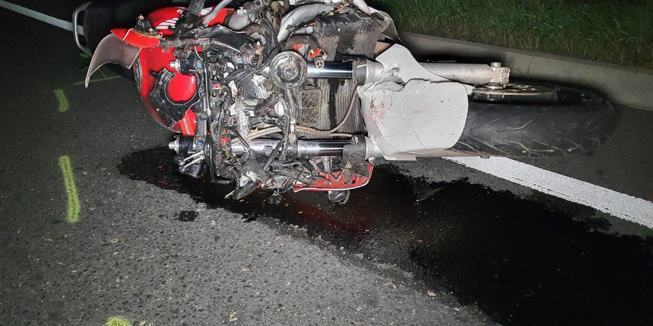 „Emberfeletti küzdelem volt. Elkap a sírás, ha rágondolok, kikészültünk”- egy 200 kilós szarvassal ütközött a motoros,  a férfi életét nem tudták megmenteni