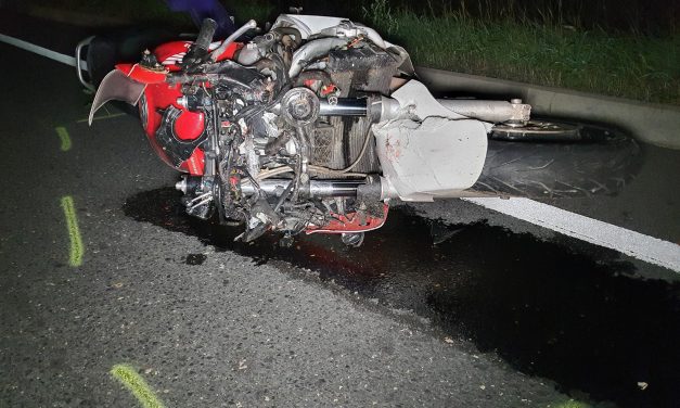 „Emberfeletti küzdelem volt. Elkap a sírás, ha rágondolok, kikészültünk”- egy 200 kilós szarvassal ütközött a motoros,  a férfi életét nem tudták megmenteni