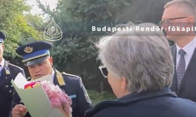 Mégsem kell bírságot fizetnie annak a nagymamának, aki fuldokló unokája miatt húzódott le az M7-es leállósávjában