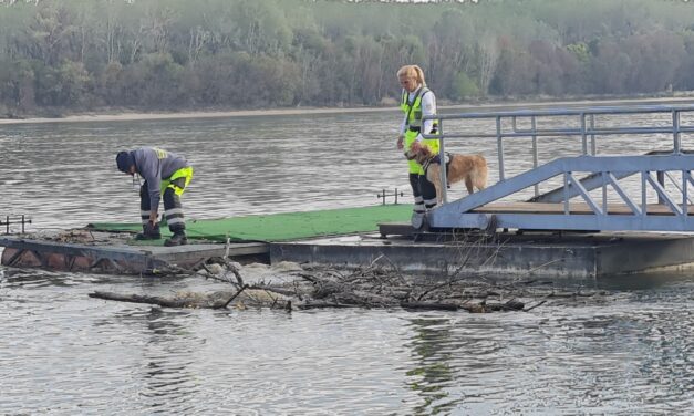 A Dunába rejtette felesége holttestének egy részét az egykori acélmágnás: búvárokkal és tetemkereső kutyákkal kutattak Andrea földi maradványai után