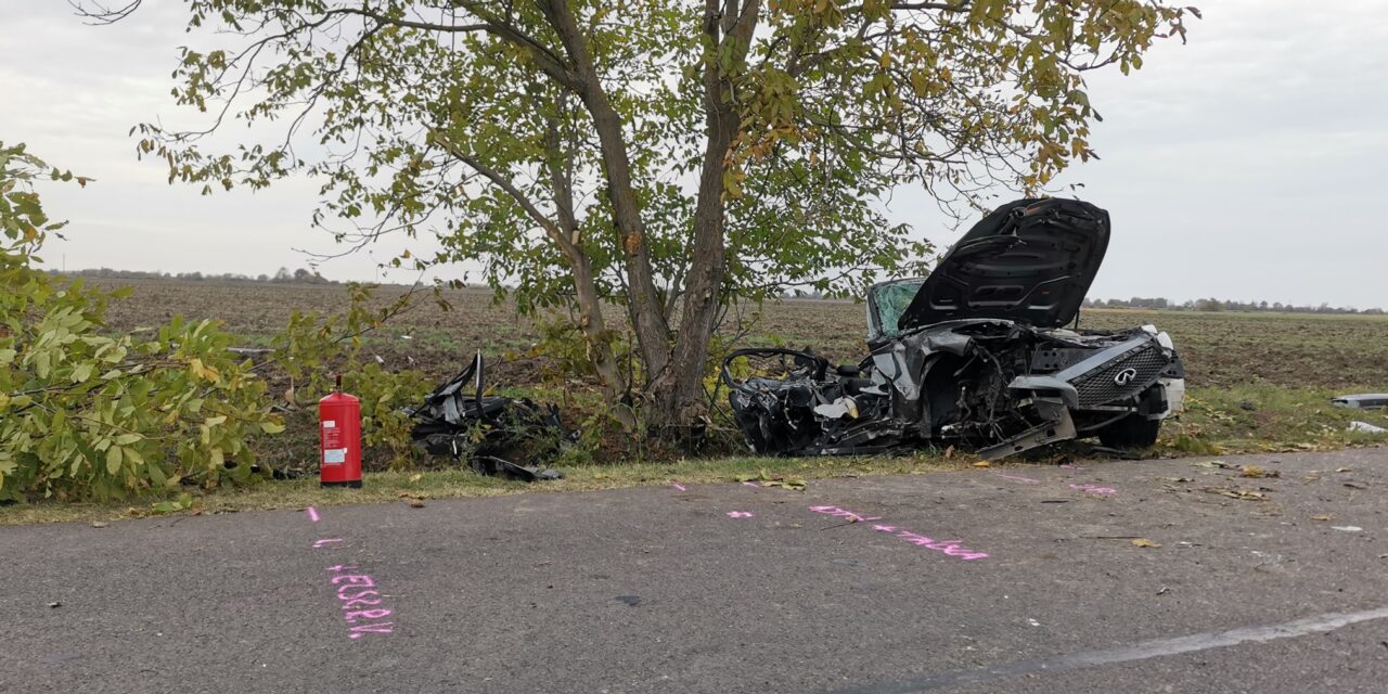 Két apa és gyermekeik haltak meg a szombat délelőtti tragikus autóbalesetben – fának csapódtak, nem volt esélyük a túlélésre – HELYSZÍNI FOTÓKKAL!