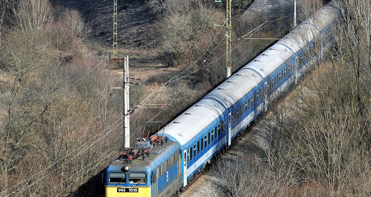 Kutyáját akarta megmenteni, halálra gázolta az Intercity. A 47 éves nő élettársa is a közelben volt