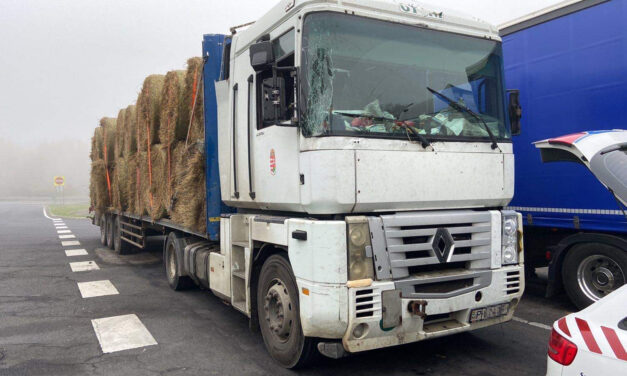 Betört szélvédő, szivaccsal kitámasztott fényszórók, lógó bálák – eljárás indult a sofőr ellen