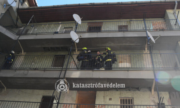 Elképesztő kegyetlenséggel oltották ki Gyöngyi néni életét Budapesten – részletek a szörnyű bűntényről