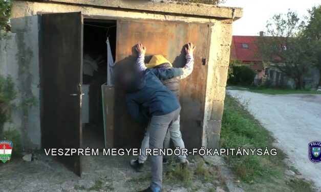 Hónapokon keresztül zsarolt egy férfit egy várpalotai nő-közeli ismerőse szabadságáért fizetett