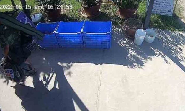 „Az futott át az agyamon, hogy neki már úgysem kell” – Ezért lopta el a halott horgász cuccait egy férfi