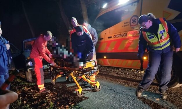 „A család nevében, köszönöm” – megtalálták a Dabasról eltűnt tűzoltót, a kutatómentők az erdőből mentették ki a férfit