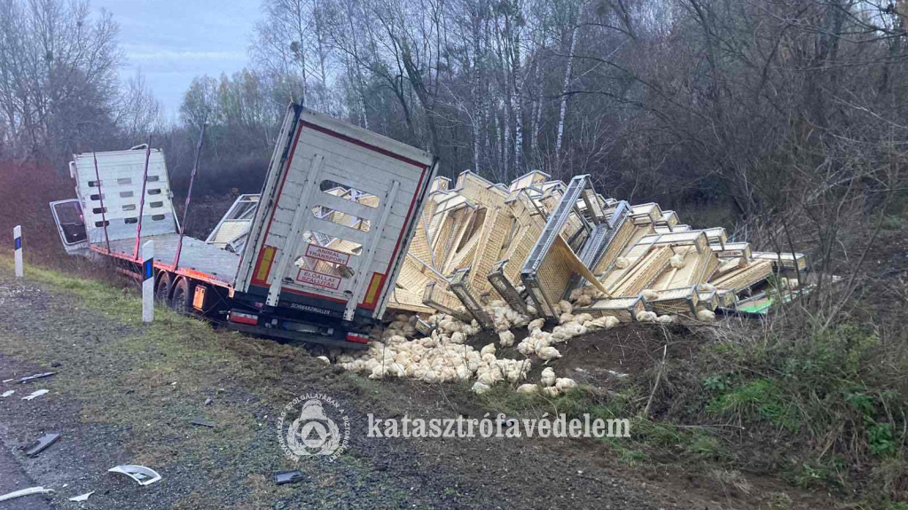 Utolérte a szapora a kamionsofőrt, szörnyethalt a vétlen autós Szabolcsban