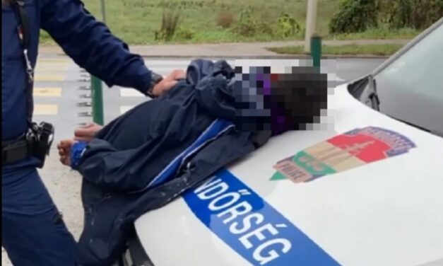 Közös üzlet: drogdíler pécsi házaspárra csaptak le a rendőrök, mindent lefoglaltak tőlük