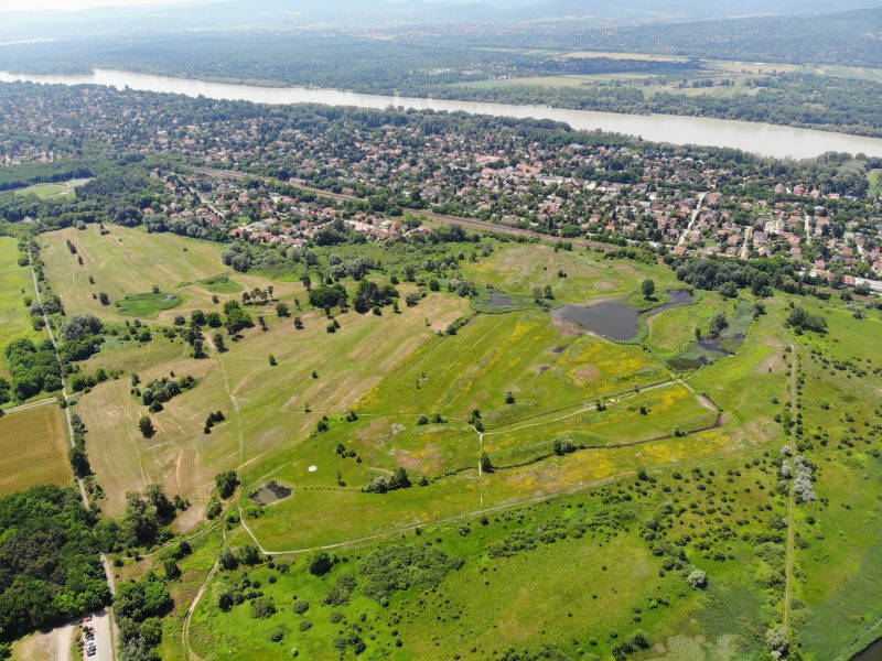 Harmadáron adta el a házát és nem is emlékezett rá. A Pest Megyei Főügyészség szeretné visszaszerezni egy idős gödi asszony ingatlanát